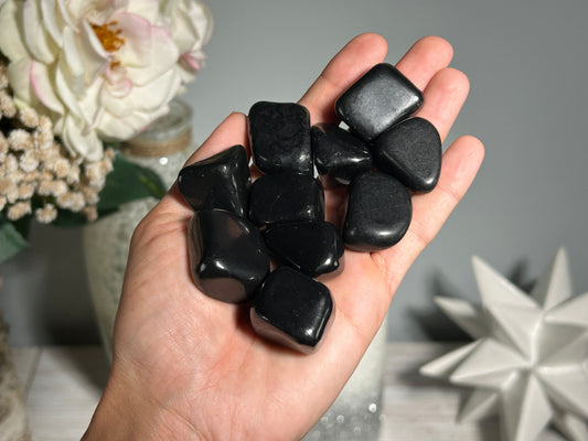 Tumbled Shungite Large