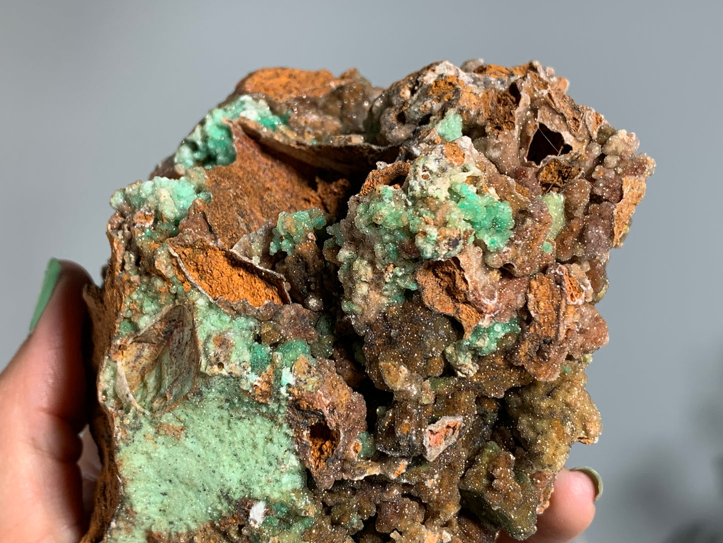 Druzy Chrysoprase (5", 126mm)