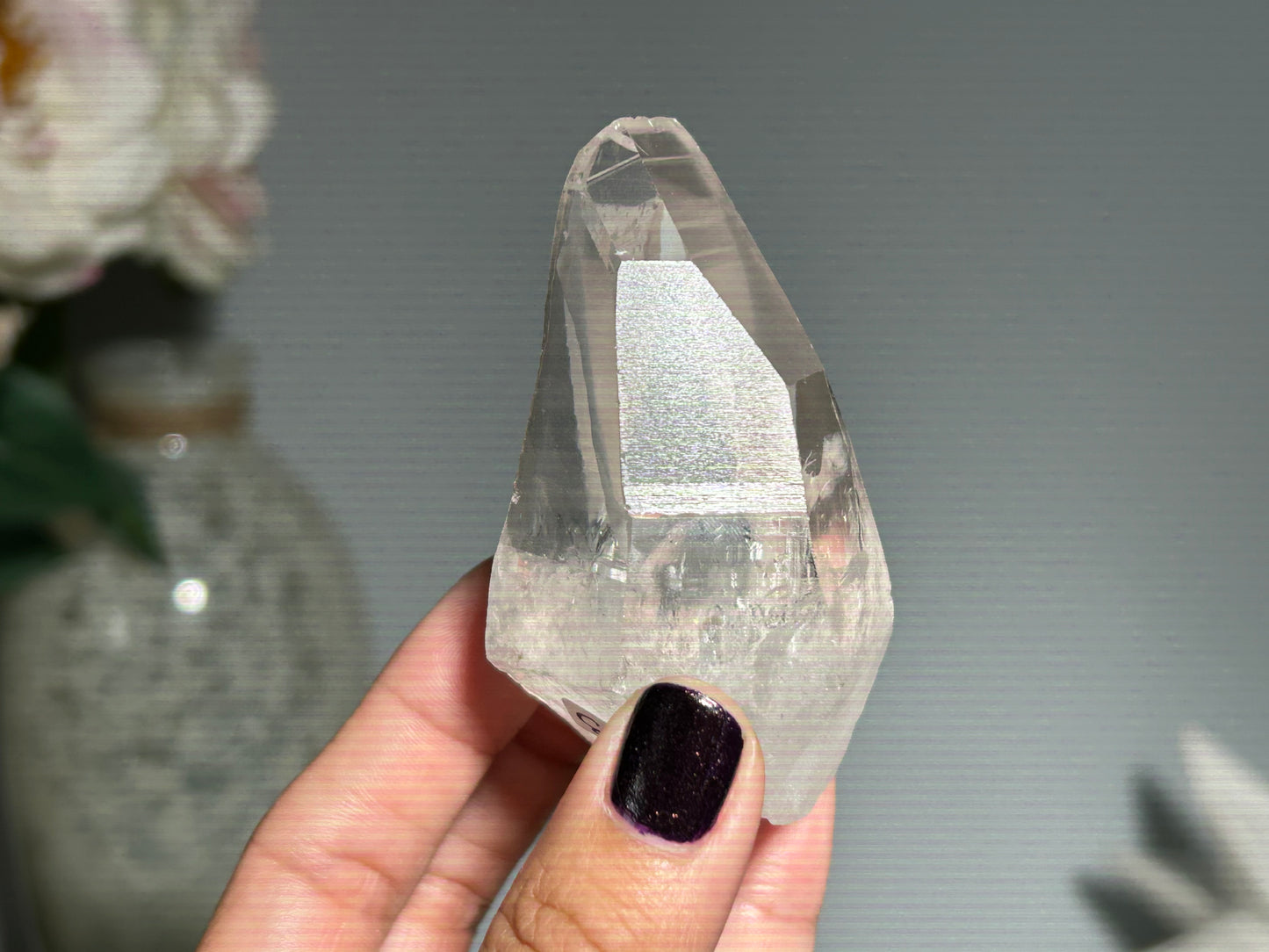 Lemurian Seed (2.75”, 70mm)