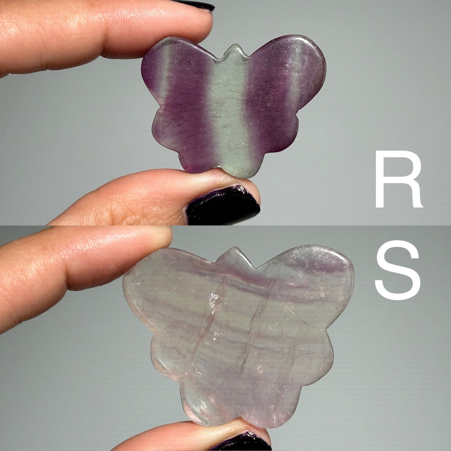 Fluorite Butterfly