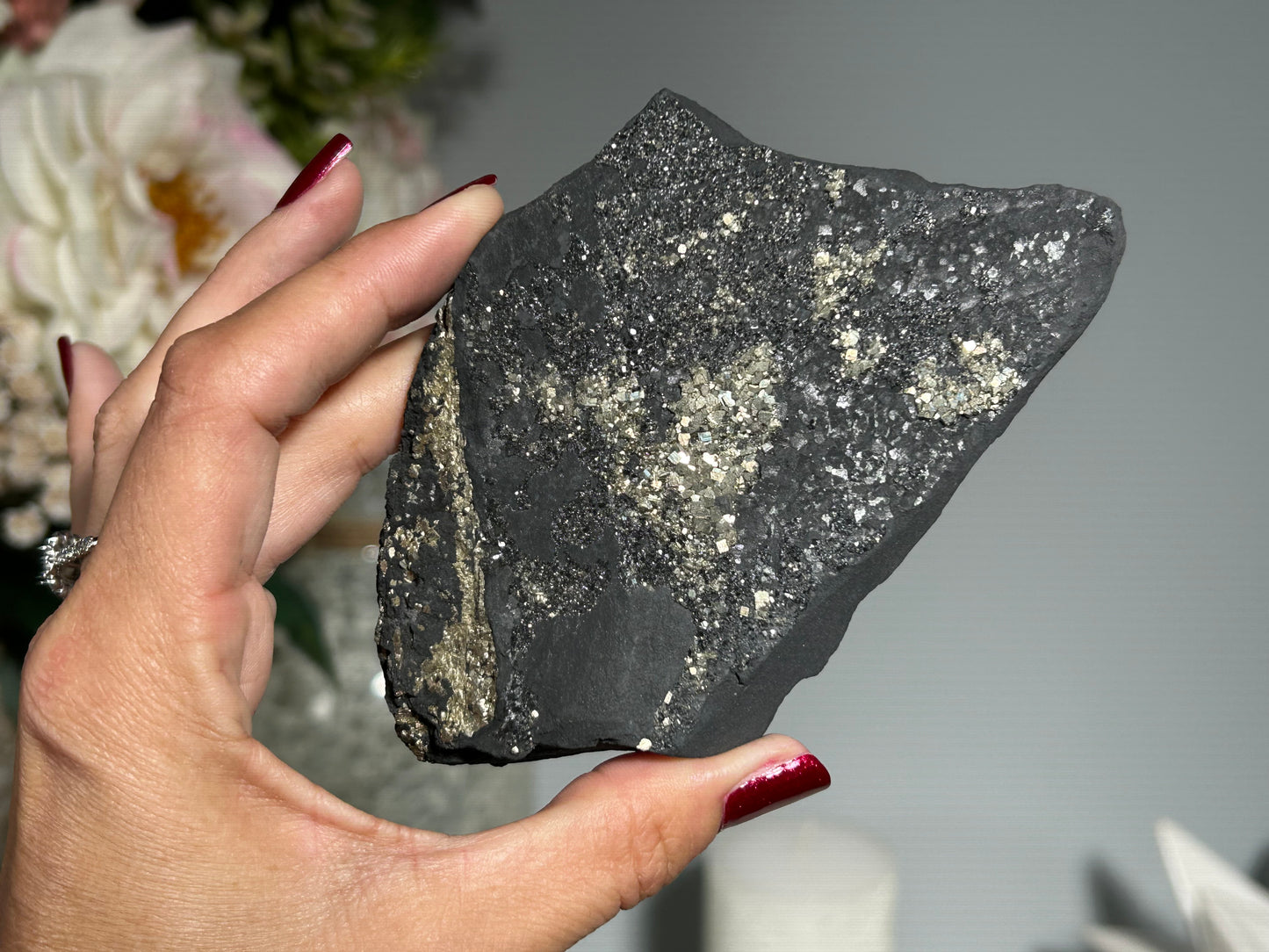 Pyrite on Shungite (4.6", 117mm)