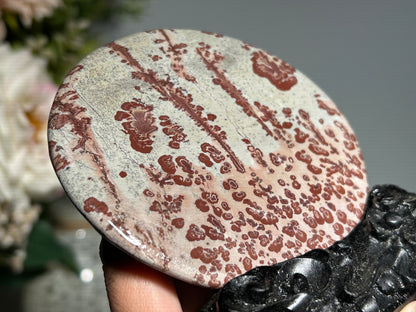 Picture Jasper Slice #245