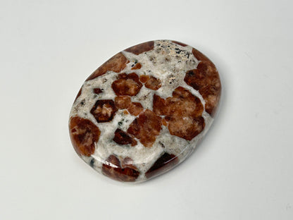 Garnet in Wollastonite (1.7", 44mm)