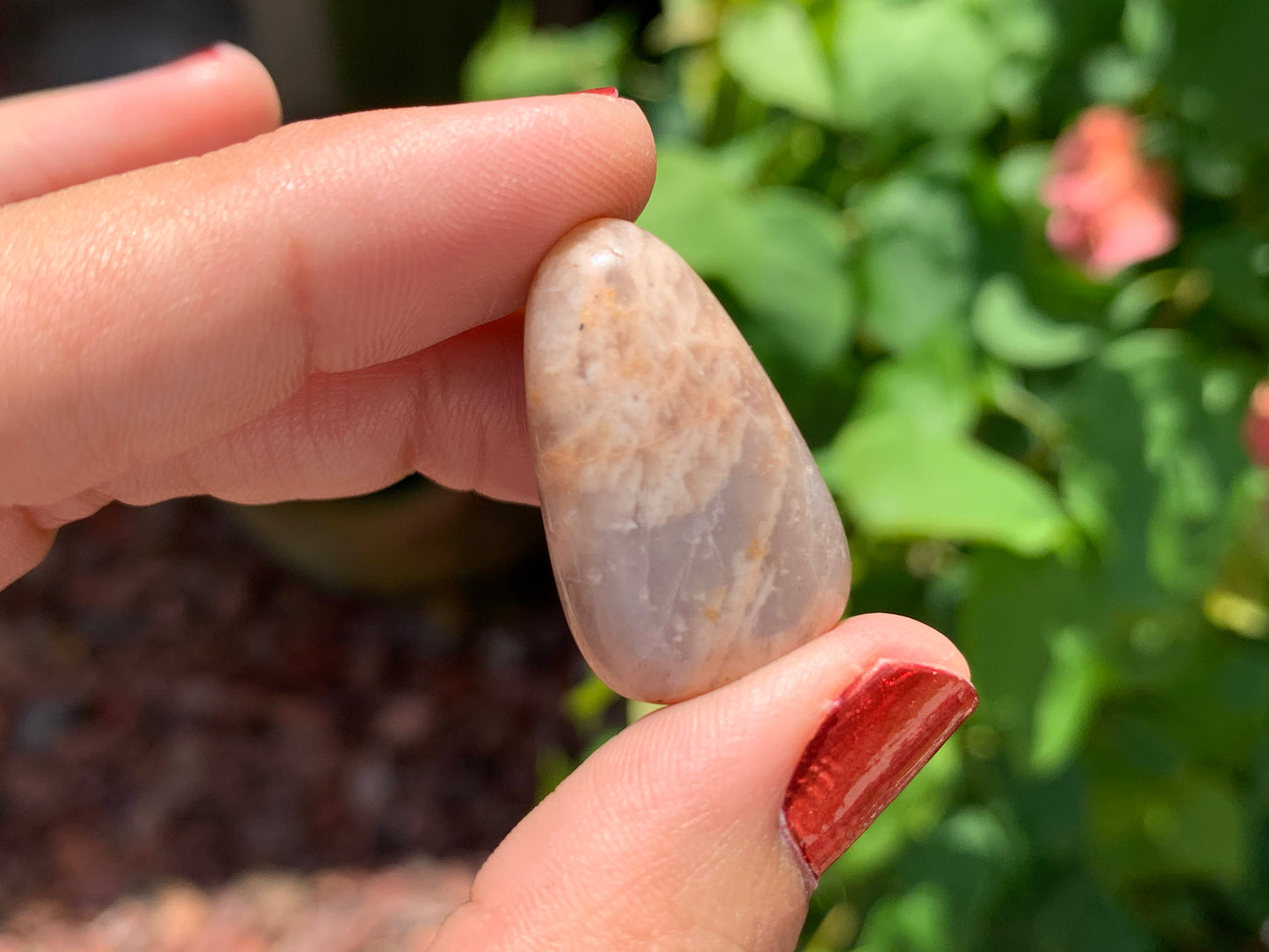 Tumbled Mixed Moonstone