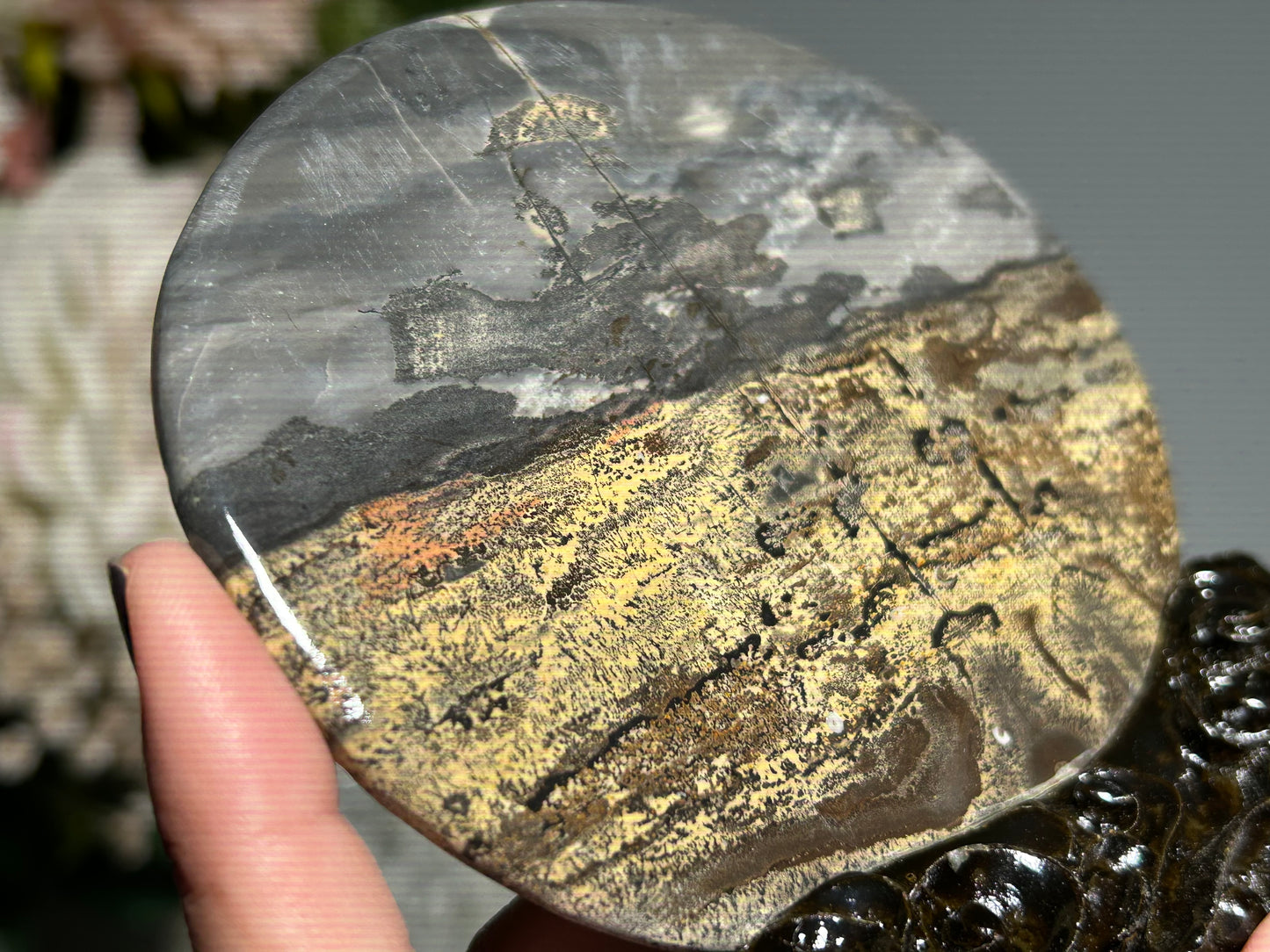 Picture Jasper Slice #219