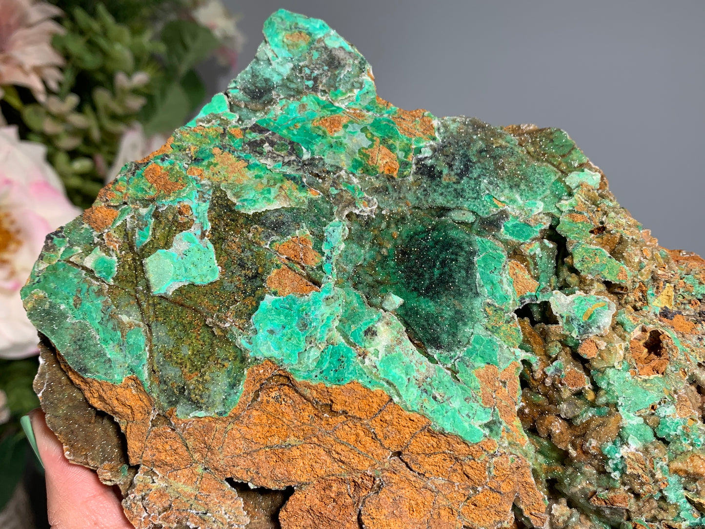 Druzy Chrysoprase (8.2", 208mm)