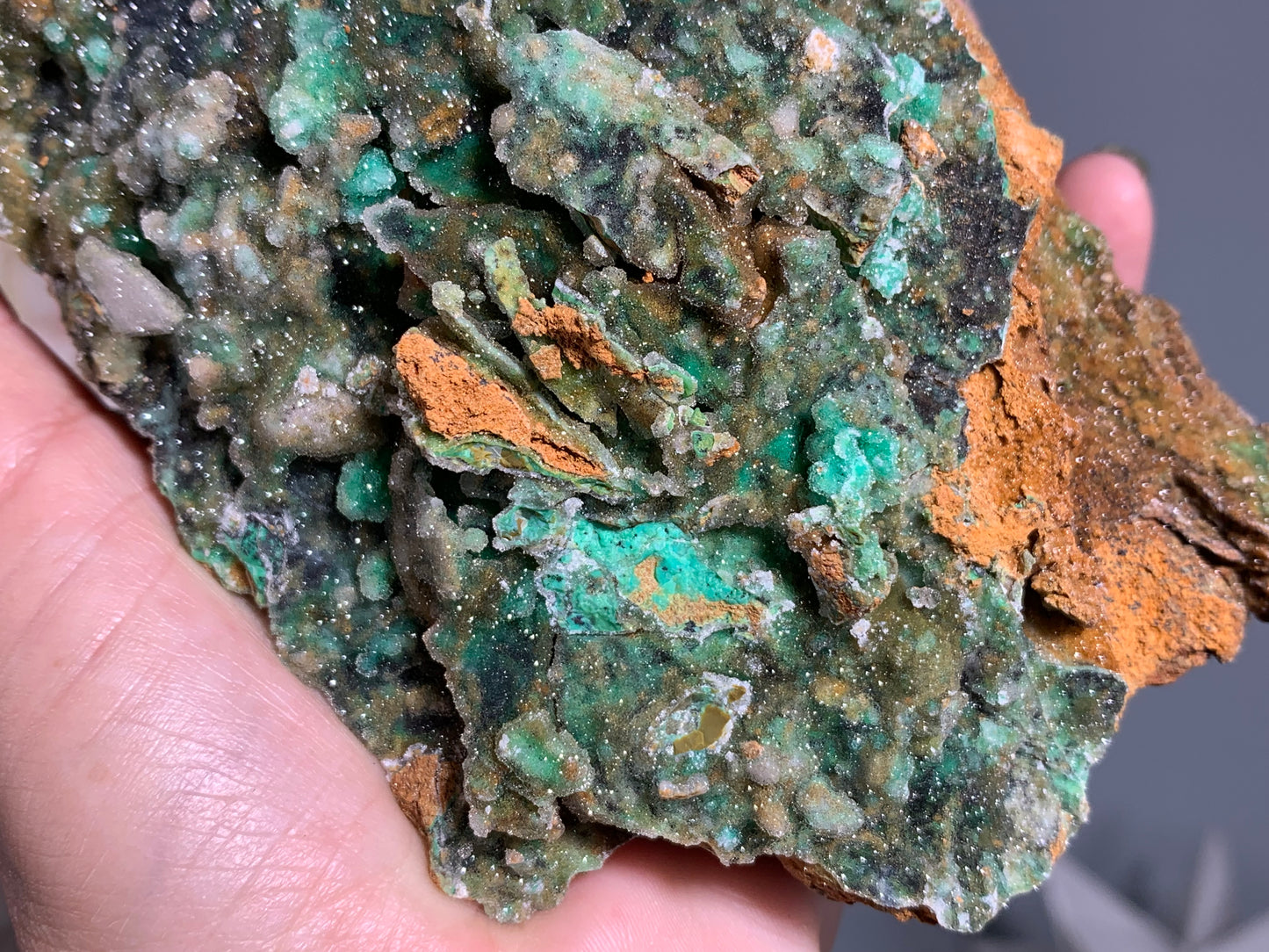 Druzy Chrysoprase (5.75", 146mm)