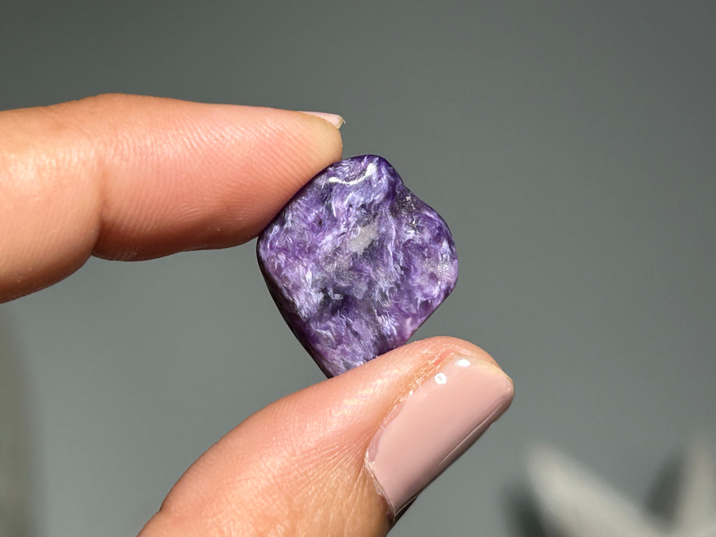 2pc Charoite Chips