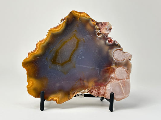 Flower Agate Slab #254