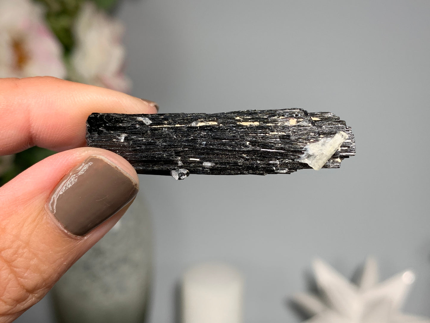 Natural Black Tourmaline with Aquamarine (1.8", 46mm)