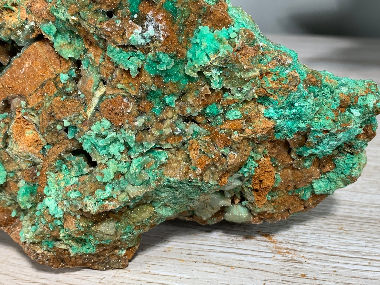 Druzy Chrysoprase (6.2", 157mm)