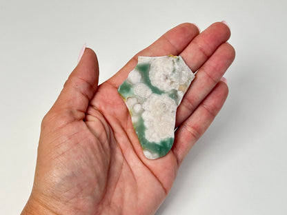 A hand holding a polished irregular stone slice with a green and white marbled pattern, photographed against a plain light background.