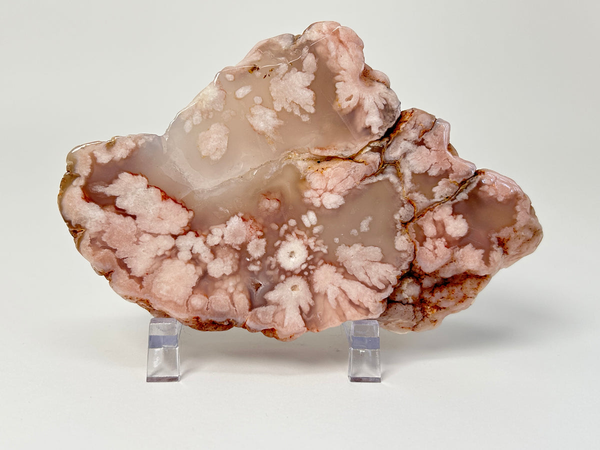 Flower Agate Slab #201