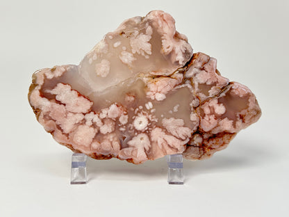 Flower Agate Slab #201