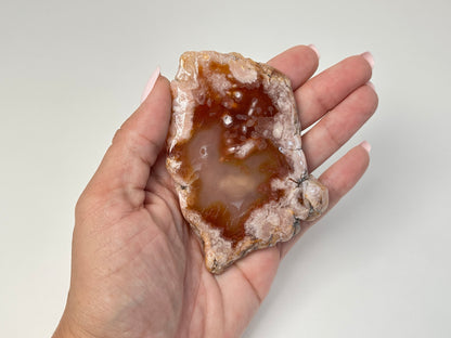 A hand holding a polished natural agate geode slice with a brown central cavity and rough, textured outer edges against a plain light gray background.