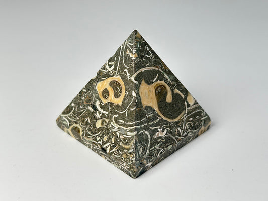 Grounding Turritella Agate Pyramid with engraved symbols on a gray background