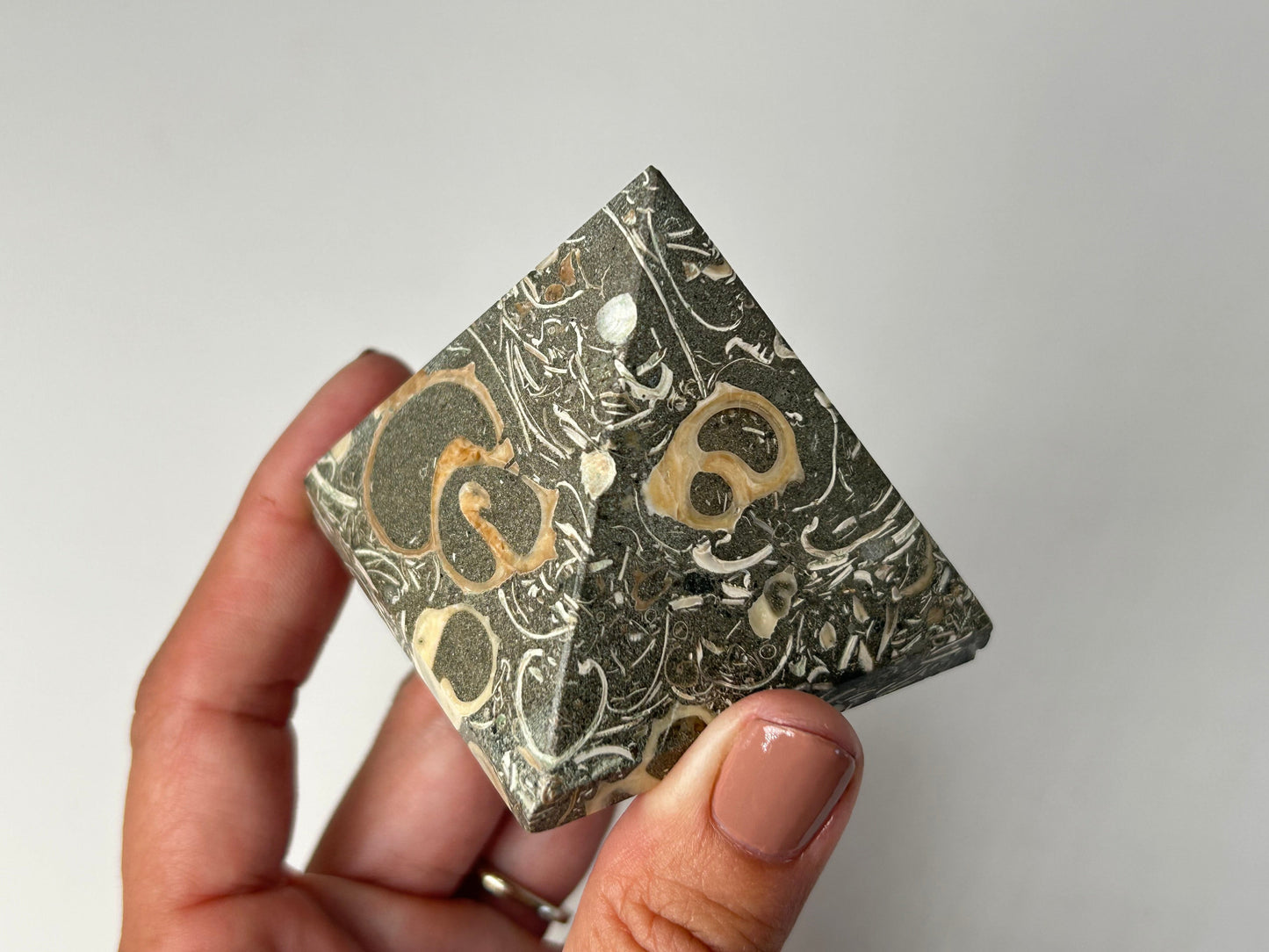 Hand holding a Grounding Turritella Agate Pyramid with intricate patterns on a plain background
