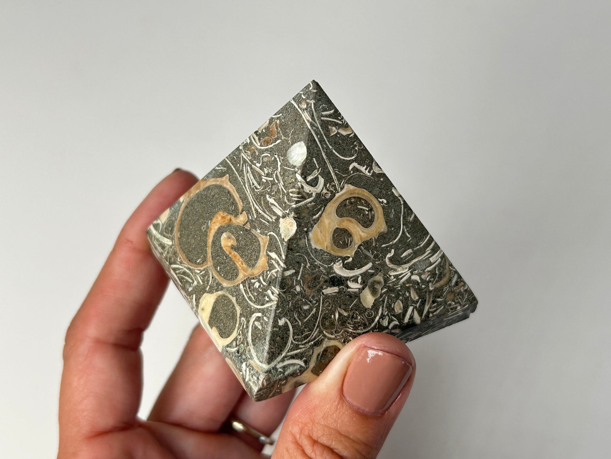 Hand holding a Grounding Turritella Agate Pyramid with intricate patterns on a plain background