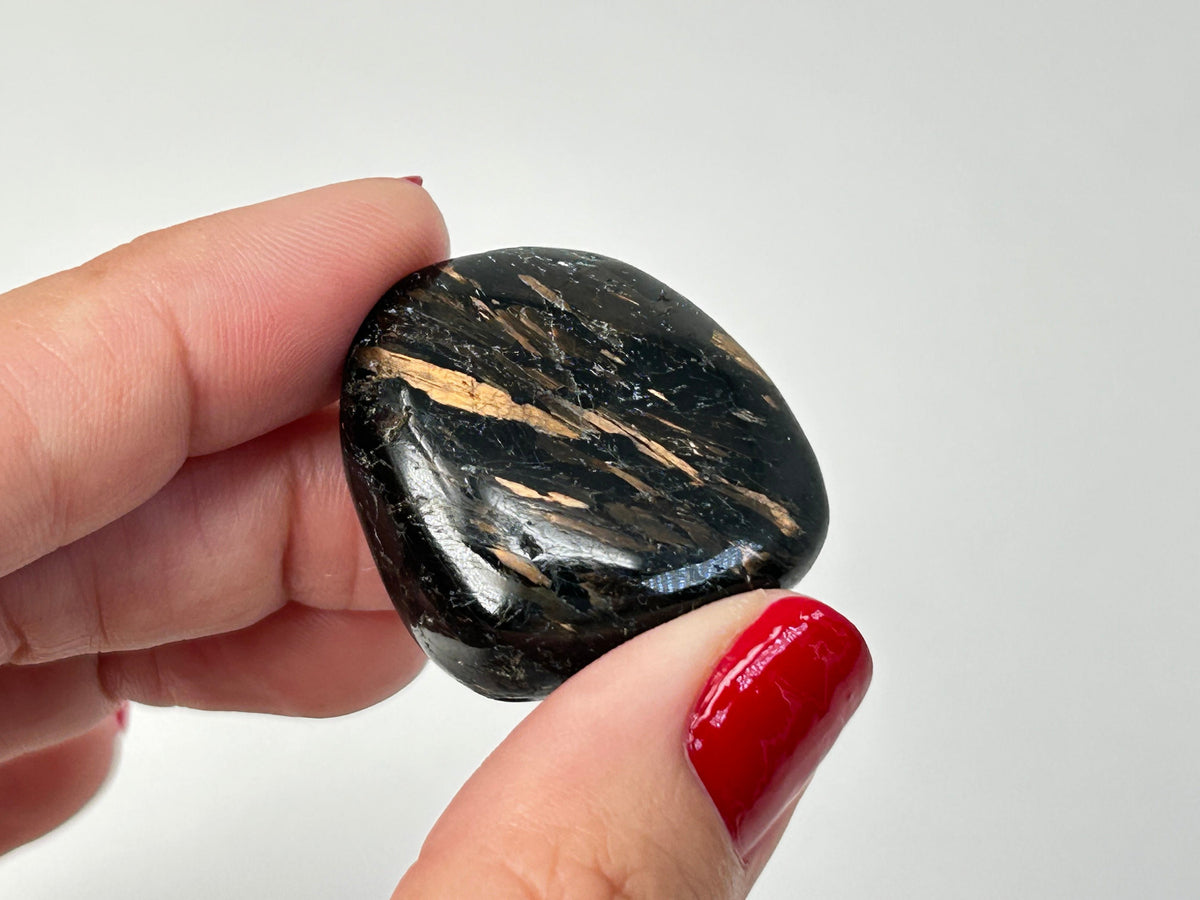 A hand holding a polished black Nuummite Tumbled crystal with natural gold and light brown veining, set against a plain light gray background.