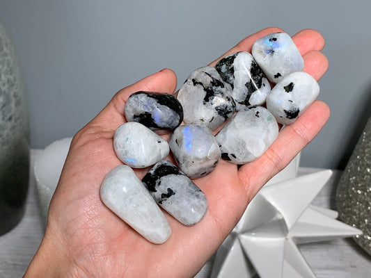 A hand holding several polished tumbled Rainbow Moonstones with a white and black color pattern.