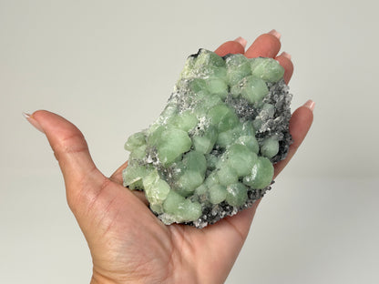 Hand holding a Prehnite on Quartz Cluster chakra balancing gemstone for spiritual healing crystal against white background.
