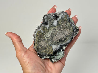 Hand holding a Prehnite on Quartz Cluster healing crystal gemstone for meditation and energy work with white background.