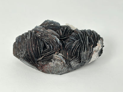 A Specularite Cluster also known as Specular Hematite with layered, fan-like crystalline structures in very dark gray to black, showing some lighter gray and silvery highlights, photographed on a plain light gray background.