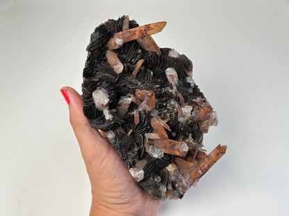 A hand with red nail polish holds Specularite Cluster also known as Specular Hematite with Tangerine Quartz featuring dark brown to black layered crystals with prominent orange-brown and clear quartz points, set against a plain light gray background.