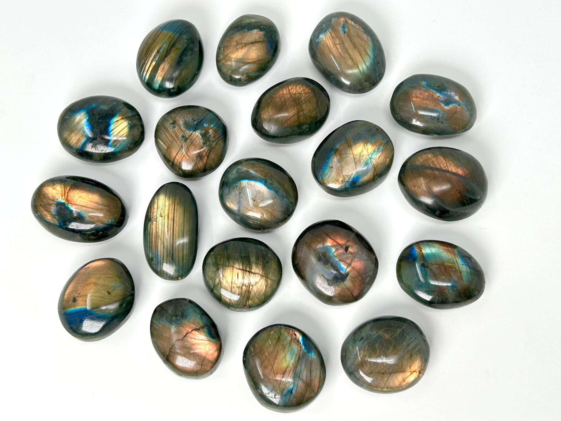 Collection of Labradorite stones on a white background
