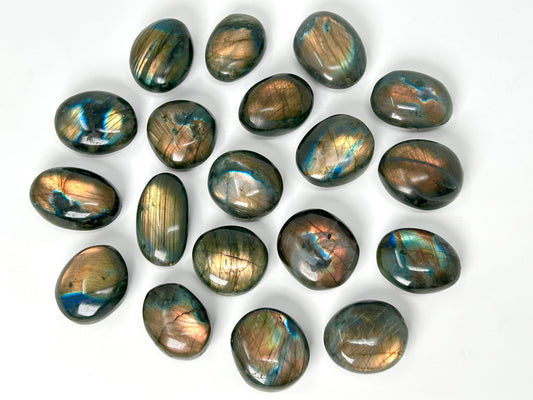 Collection of Labradorite stones on a white background