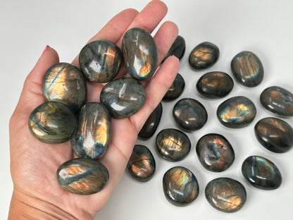 Hand holding a collection of Labradorite stones on a white background