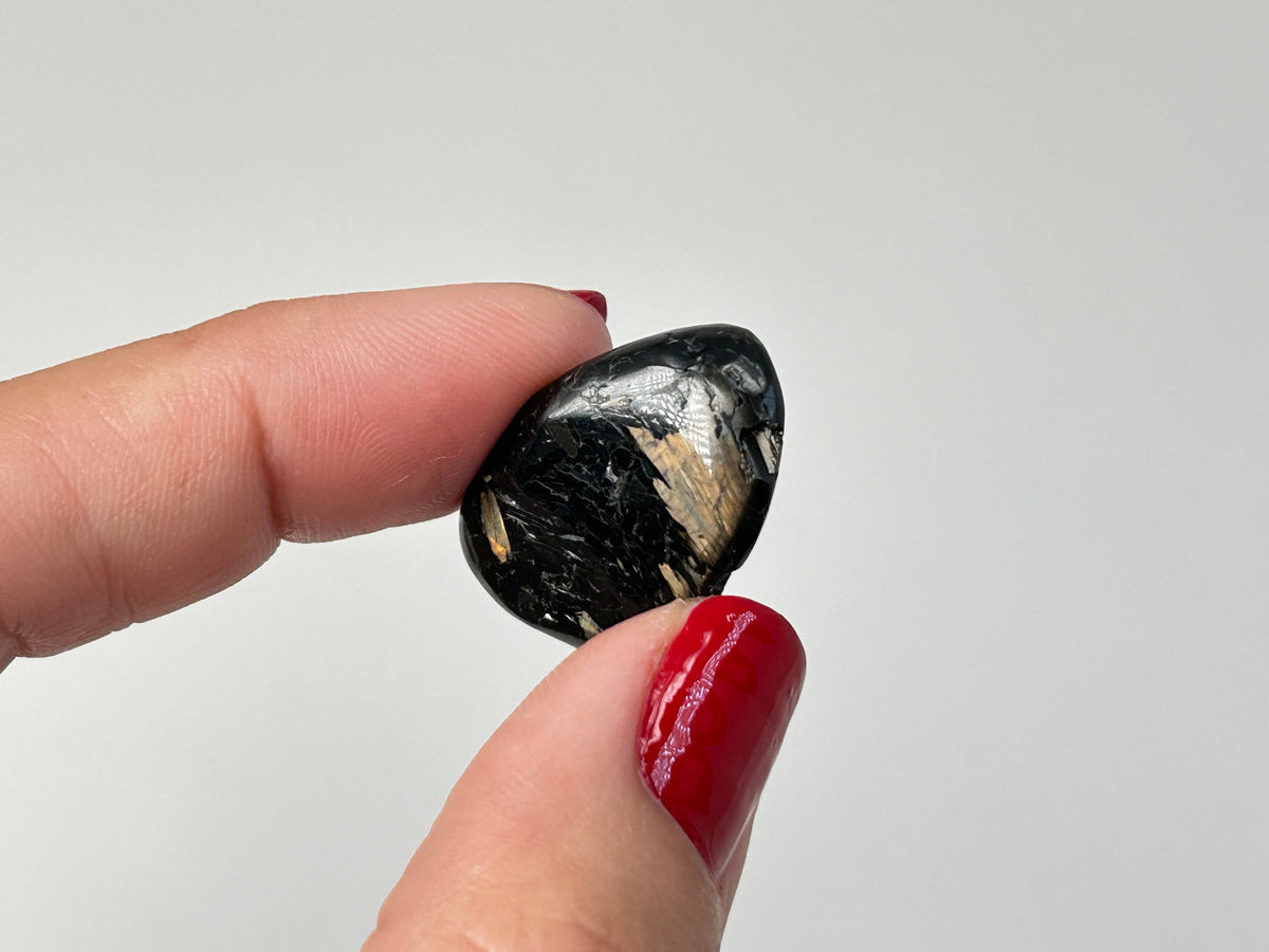 A hand with red painted fingernails holds a polished black Tumbled Nuummite gemstone featuring natural gold and white inclusions, set against a plain light gray background.
