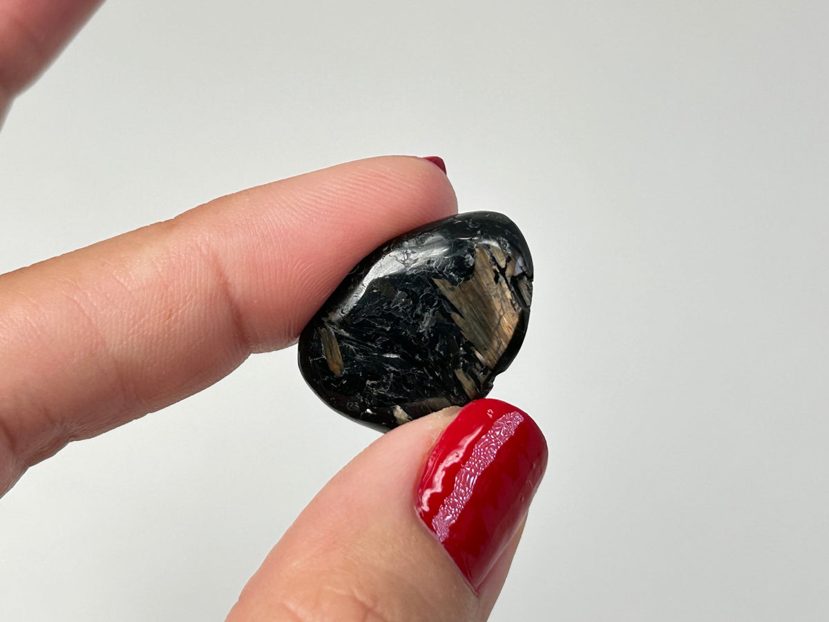 A hand with red nail polish holds a polished black Tumbled Nuummite gemstone with gold and white inclusions against a plain light gray background.
