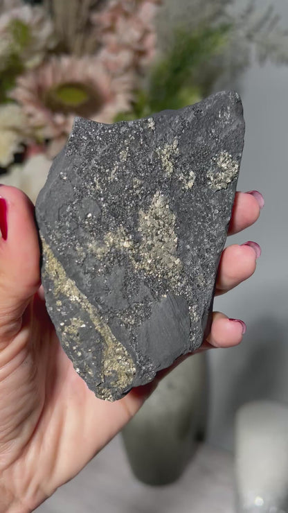 Pyrite on Shungite (4.6", 117mm)