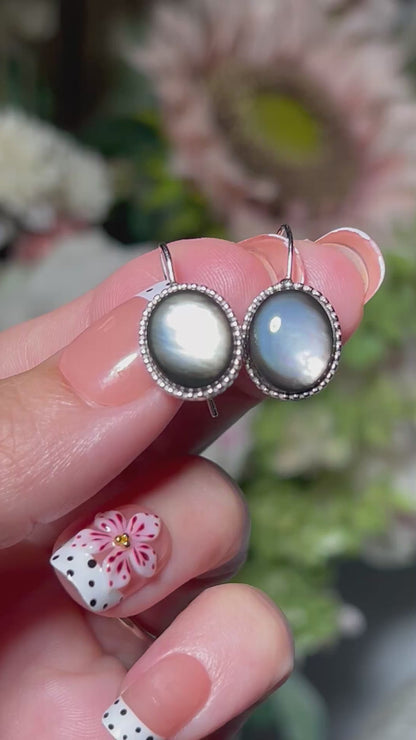 Black and Silver Shell Earrings