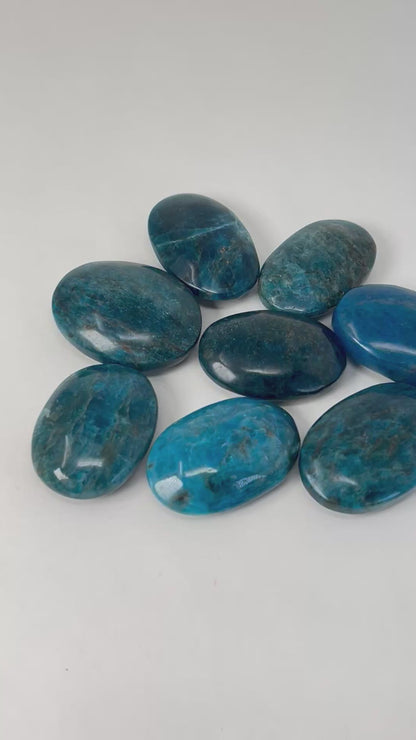 Apatite Palm Stone (2-2.3", 50-58mm)