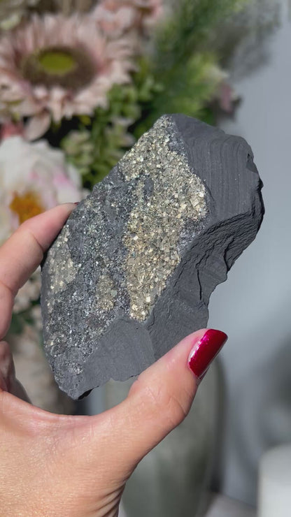 Pyrite on Shungite (4.2", 106mm)