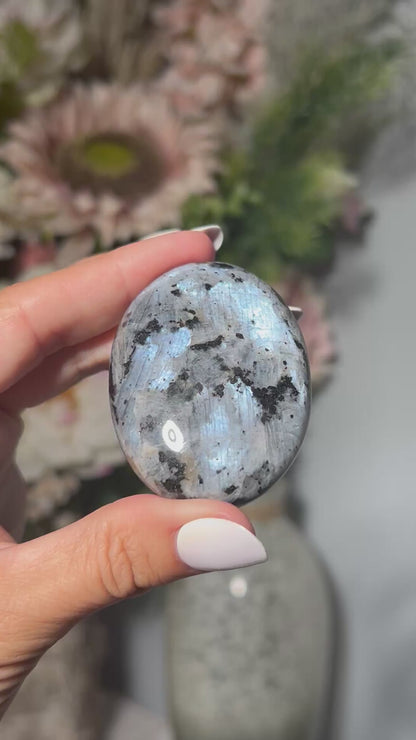 Gray Larvikite Palm Stone (2.2", 56mm)