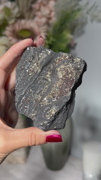 Pyrite on Shungite (3", 77mm)