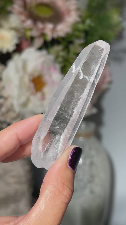 Lemurian Seed (3.2”, 82mm)