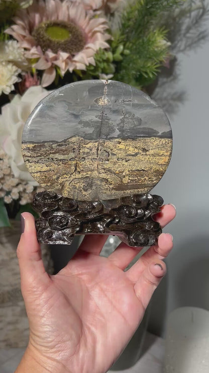 Picture Jasper Slice #219