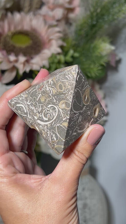 Turritella Agate Pyramid (#TA35)
