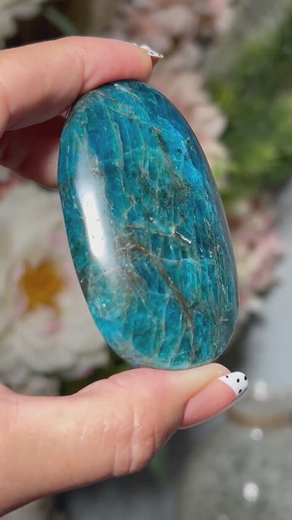 Apatite Palm Stone (2.6", 66mm)