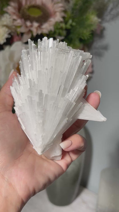Natural Scolecite Cluster (4.7", 119mm)