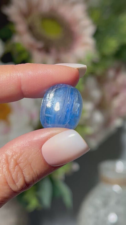 Gemmy Blue Kyanite #9