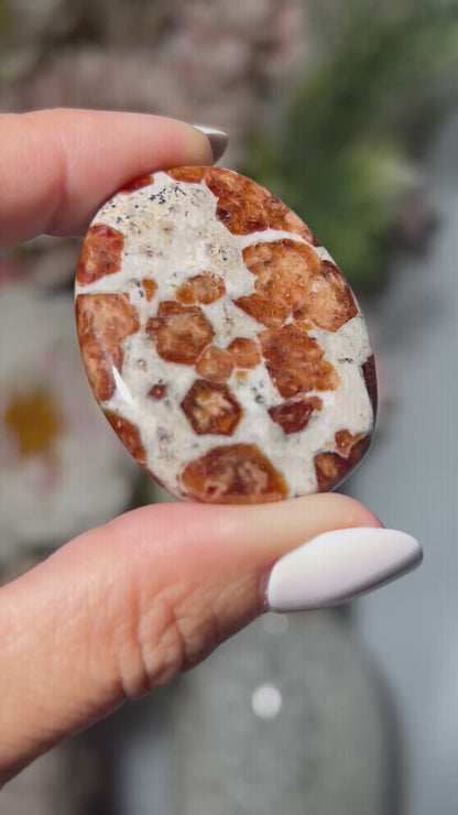 Garnet in Wollastonite (1.7", 44mm)