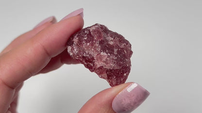 Natural Cherry Tanzurine (1.3", 33mm)