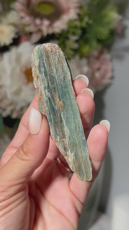 Blue Kyanite (3.6", 91mm)