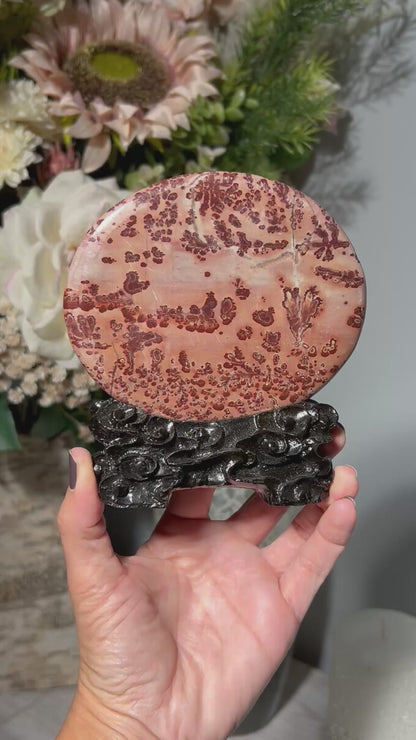 Picture Jasper Slice #255