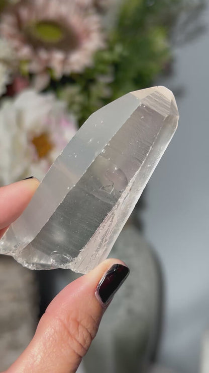 Lemurian Seed (3”, 76mm)